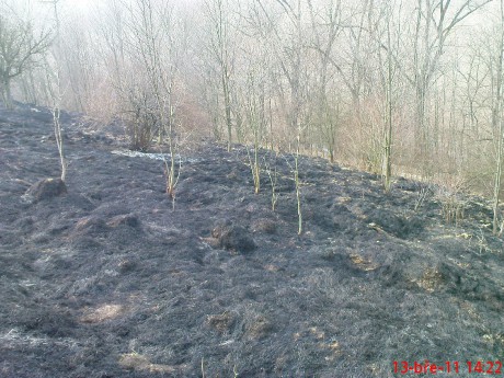 Den po požáru trávy mezi obcemi Chlumčany a Brloh (1)