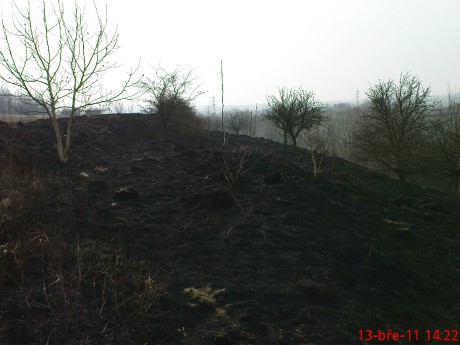 Den po požáru trávy mezi obcemi Chlumčany a Brloh (2)
