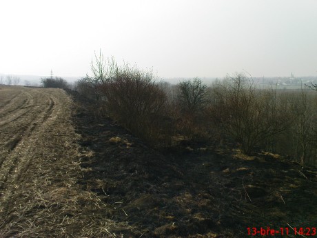 Den po požáru trávy mezi obcemi Chlumčany a Brloh (3)