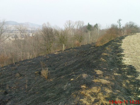 Den po požáru trávy mezi obcemi Chlumčany a Brloh (4)