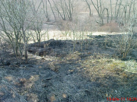 Den po požáru trávy mezi obcemi Chlumčany a Brloh (5)