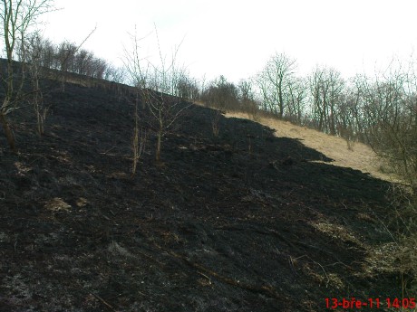 Den po požáru trávy mezi obcemi Chlumčany a Brloh