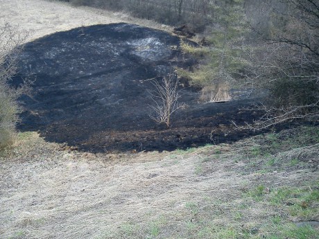 Požár trávy v obci Chlumčany u silnice R7 (3)