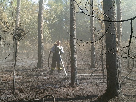 Požár pole a lesa u Olešné, okr. Rakovník Stř. kraj 4.8 (37)
