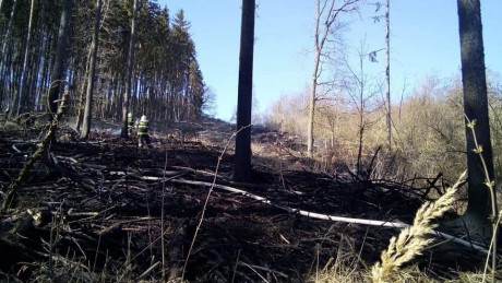 30.3.2021 - Požár lesau obce Pnětluky (2)