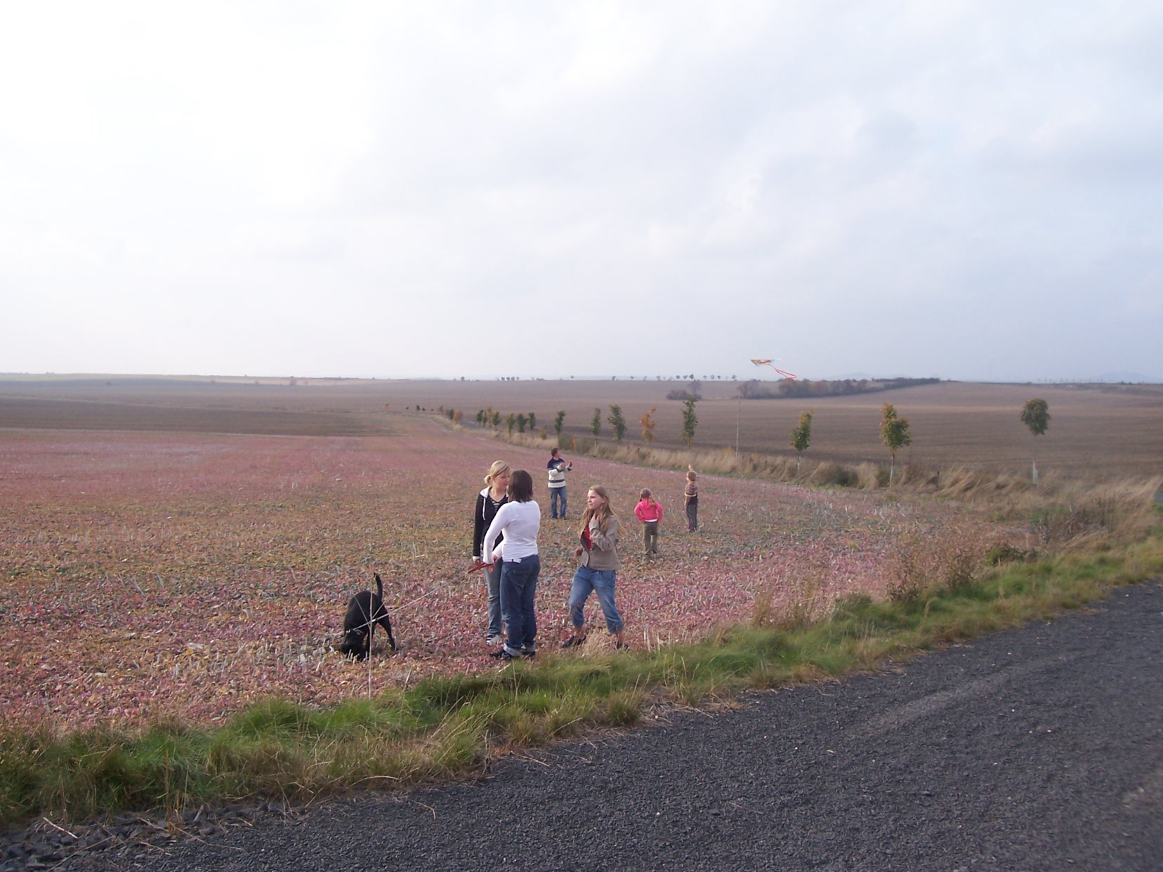 drakiada-2008